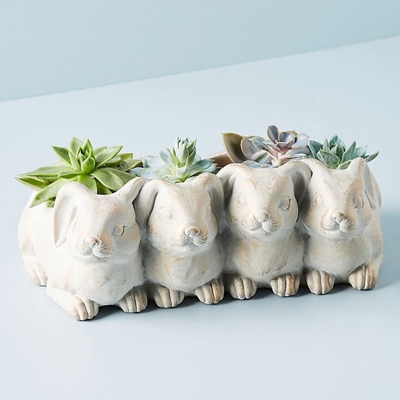 Anthropologie Other - ISO Anthropologie Bunny Garden Pot